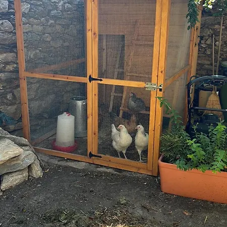 Rural Cal David דירה