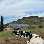 Cal David * Estamariu