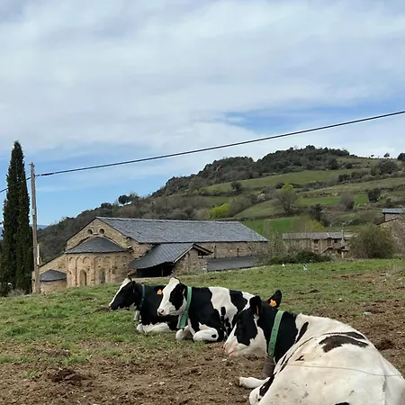Cal David * Estamariu