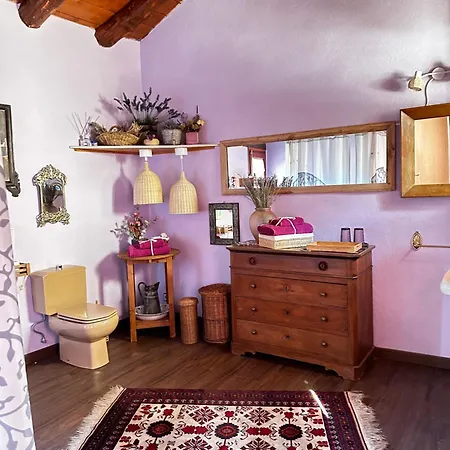 Cal David Apartment