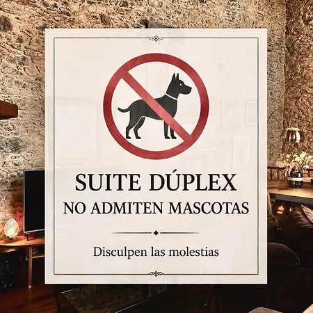 Cal David